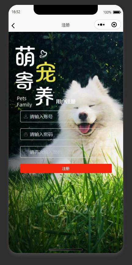 注册页：填写账号密码，完成小程序新用户注册