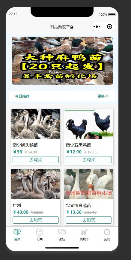 首页：展示推荐禽苗农产品，供用户选购