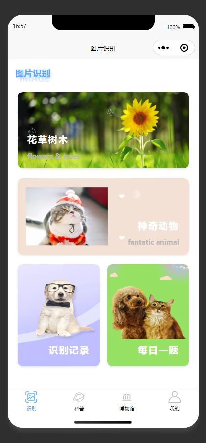 首页：展示各识别功能入口，可跳转对应功能