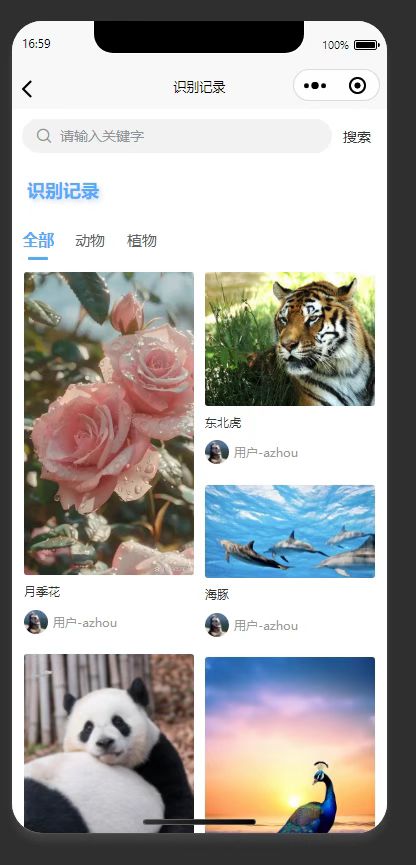 识别记录列表页：展示用户识别历史，支持筛选搜索识别记录