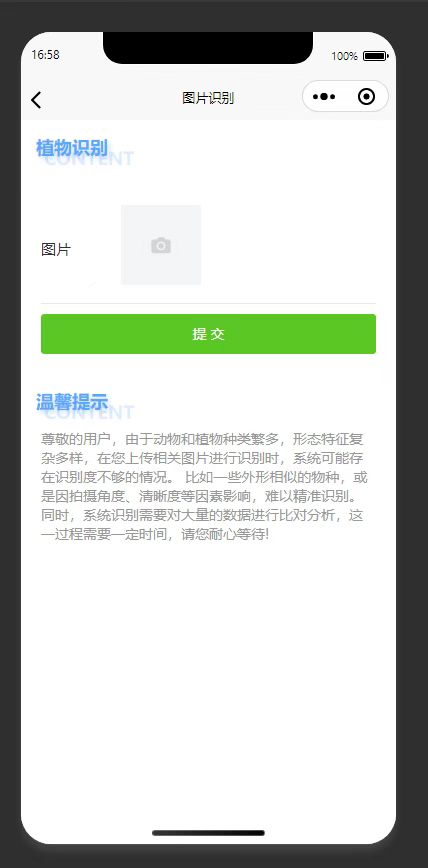 植物识别页：上传植物图片提交，完成植物识别