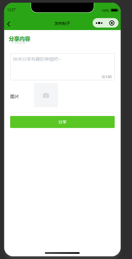 发布帖子页:编辑内容,发布分享帖子到论坛