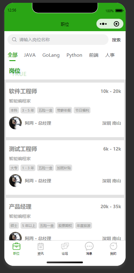 岗位列表页:展示招聘岗位,支持按类别搜索筛选