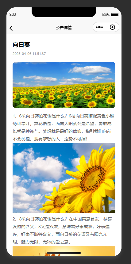 公告详情页：展示与向日葵花语相关的公告详情