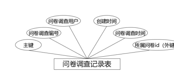 问卷调查记录表