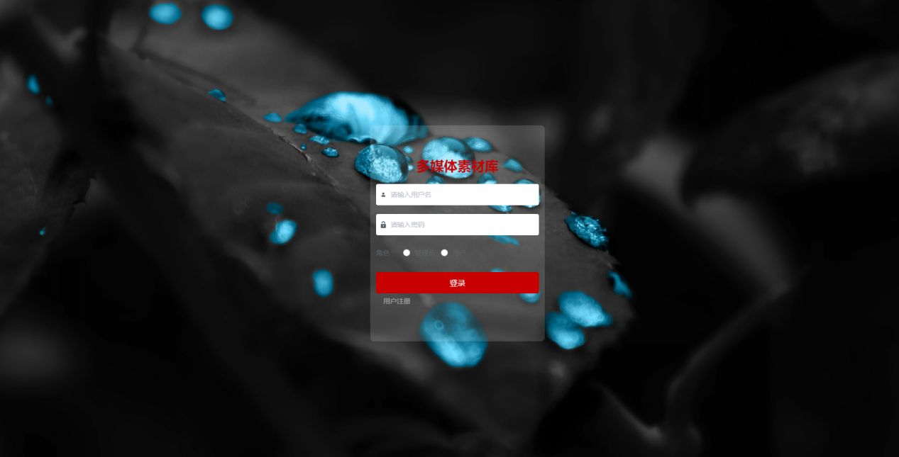 基于JAVA+SpringBoot+Vue的多媒体素材库 默认图片 截图 1
